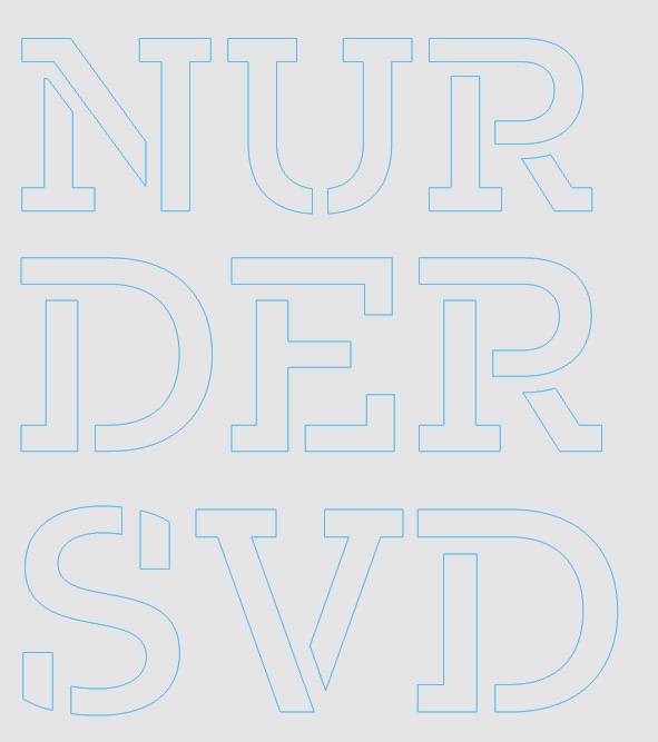 NUR DER/DIE …